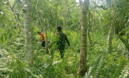 Tidak Ditemukan Titik Api, Patroli Karhutla Babinsa Desa Selat Akar Berjalan Kondusif