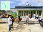 Sambut Idul Adha 1447 H, PT Arara Abadi Bagikan 28 Lembu dan 30 Kambing untuk Masyarakat