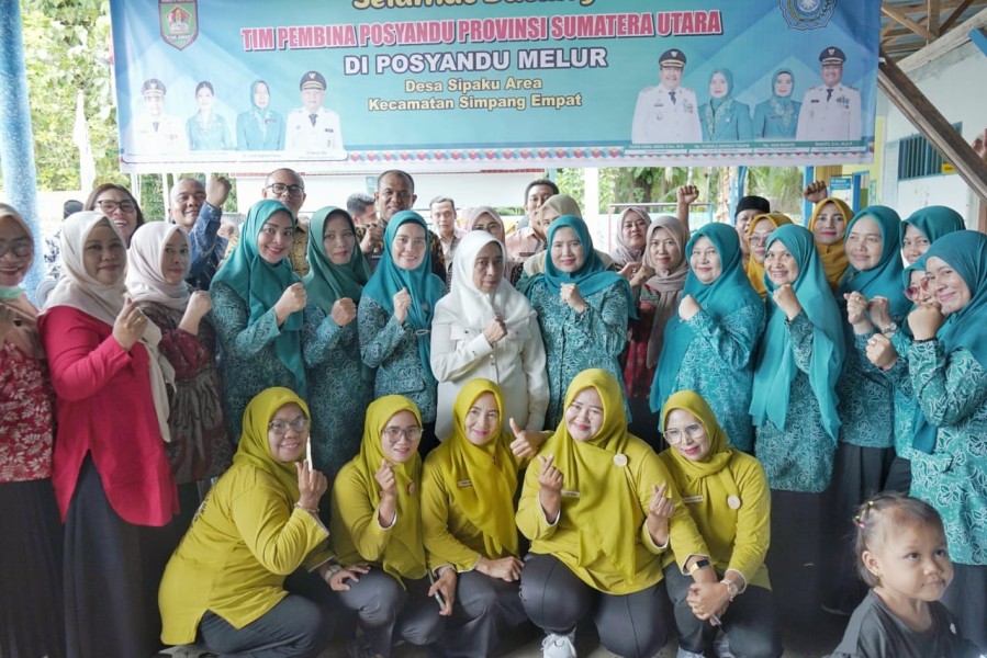 Wakil Ketua PKK Sumut dan Ketua PKK Asahan Kunjungi Posyandu dan PAUD