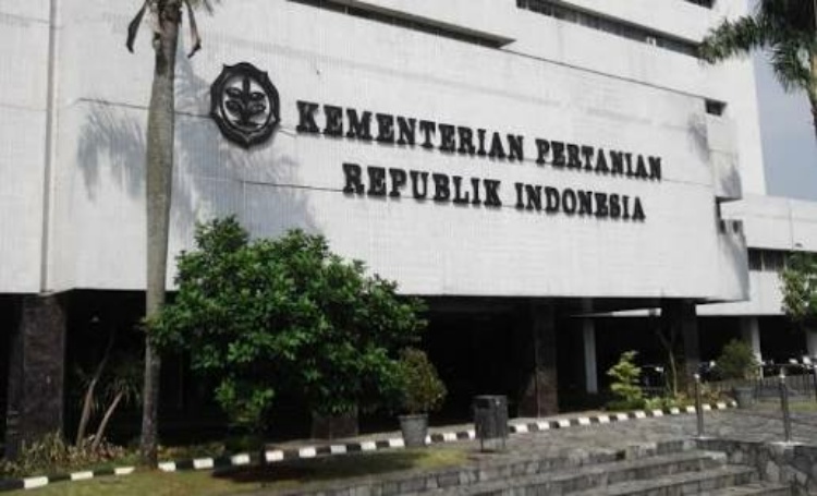 Kementan: Bawang Merah Brebes akan Diekspor