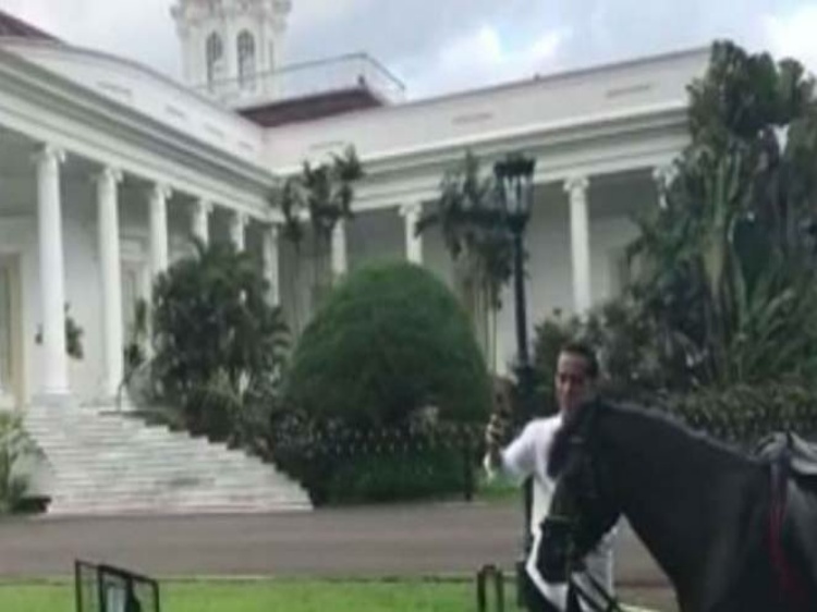 Melihat Olahraga Baru Jokowi, Bertinju