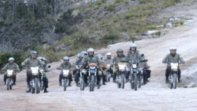 Jokowi Akui Pekerja Proyek Trans Papua Taruhannya Nyawa