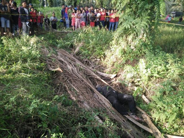 Diduga Korban Pembunuhan, OTK Membusuk di Kebun Sawit