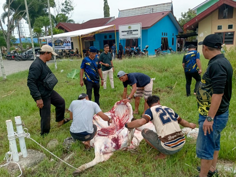 PWI Dumai Gelar Penyembelihan Hewan Kurban dan Salurkan Sembako untuk Janda Wartawan
