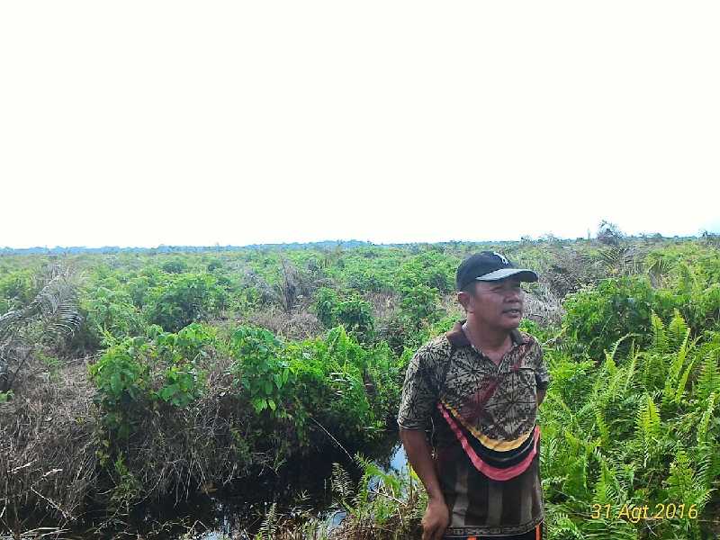 DPRD Inhil Akan Panggil Paksa Pimpinan PT IJA, Prihal PT IJA Acuhkan Surat Pemanggilan