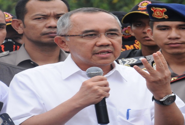 Riau Ingin Ulang Kejayaan Rohil sebagai Penghasil Ikan Terbaik di Dunia