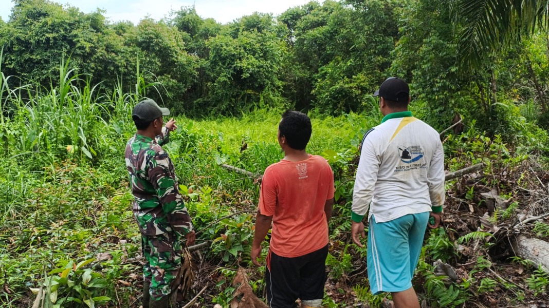 Patroli Karhutla Serda M. Andi Darmawan, Upaya Pencegahan Kebakaran Hutan dan Lahan di Bukit Kapur