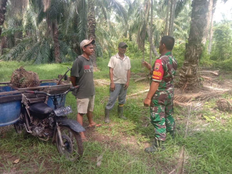 Babinsa Sertu Jainal Arifin Gelar Patroli Rutin Cegah Kebakaran Hutan dan Lahan