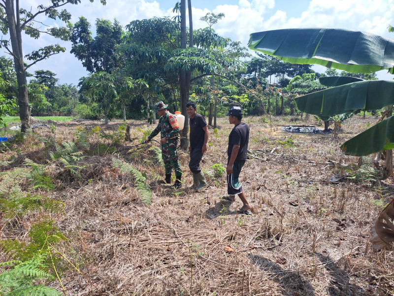 Patroli Karhutla dan Penyemprotan Lahan, Upaya Babinsa Dumai Selatan