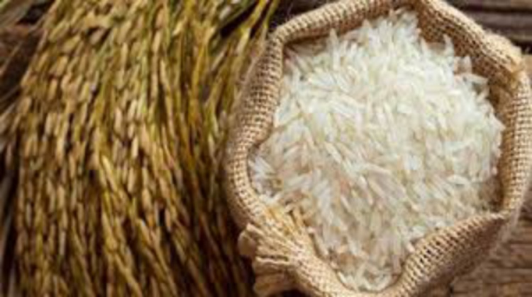 Pemerintah Jamin Stok Beras Aman Sampai Lebaran
