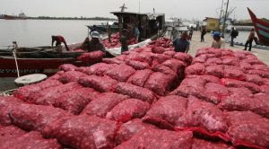 Diduga Salah Satu BOS Penyelundup Bawang Ilegal di Beking Oknum Polair Dumai