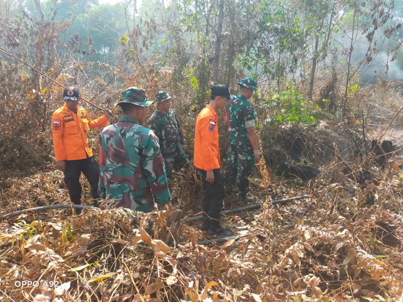 Status Darurat Karhutla, Dandim 0320/Dumai Minta Masyarakat Bantu Pemantauan Wilayah