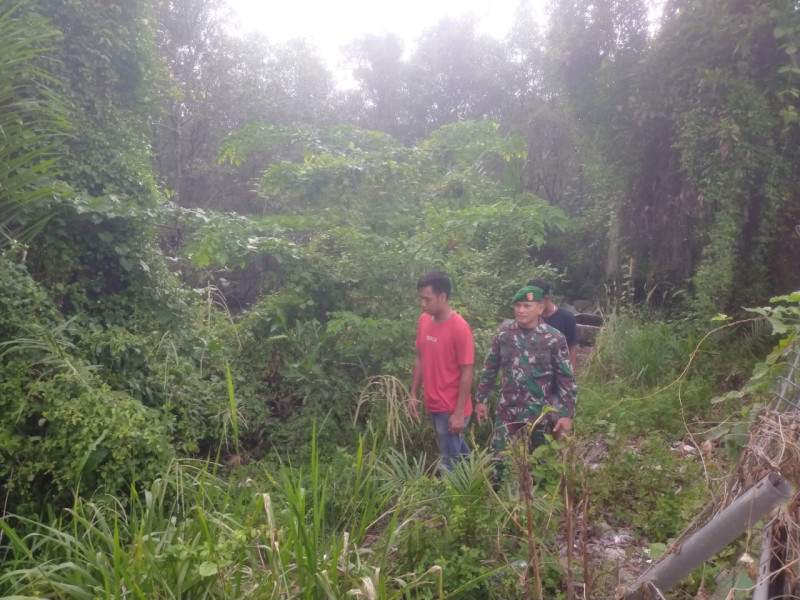 Babinsa Koramil-01/Dumai Cegah Karhutla di Wilayah Rawan