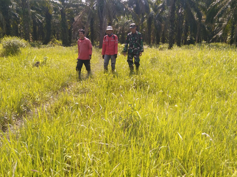 Patroli Rutin Koptu Erwan Guna Meningkatkan Kesadaran Masyarakat Mengenai Karhutla