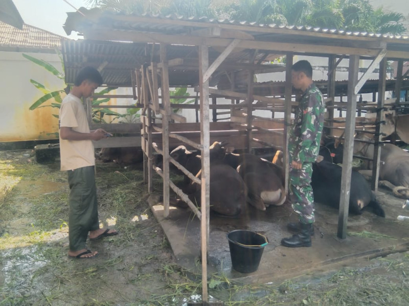 Peternak Sambut Baik Kehadiran Koptu Erwan