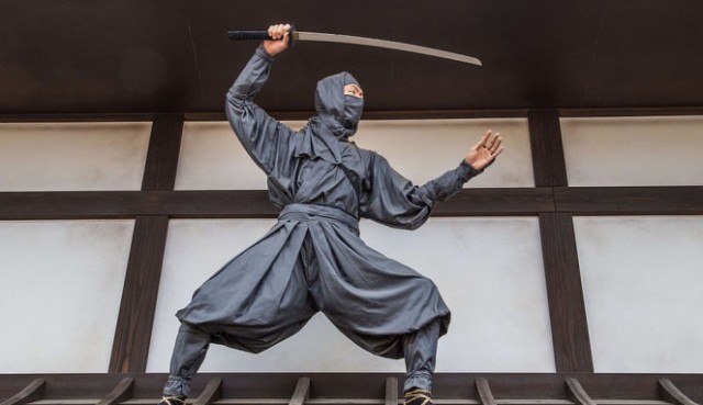Heboh Lowongan Jadi Ninja, Gajinya Rp1,2 Miliar