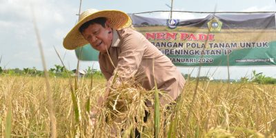 Isdianto Ingin Pertanian Tumbuh dan Menyejahterakan Rakyat