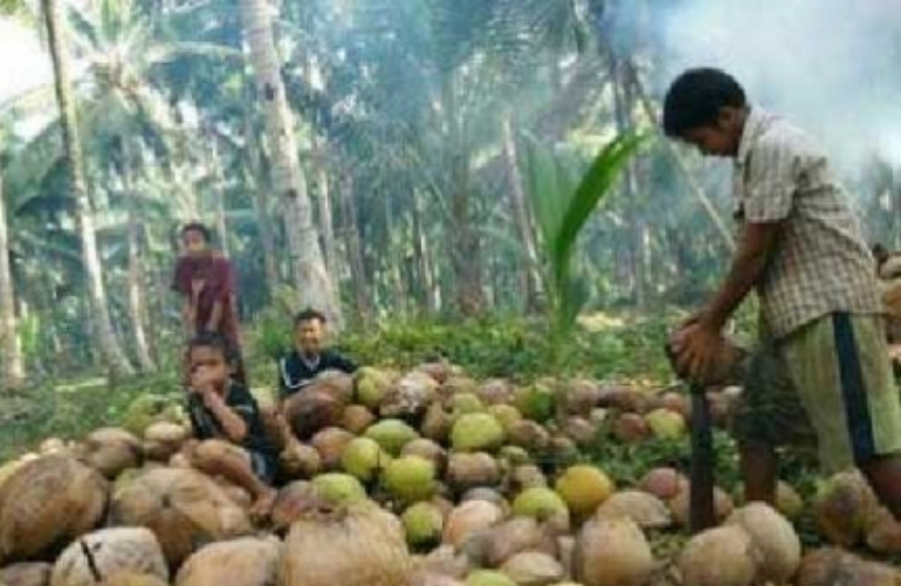 Air Mata Petani Jangan Diperas Lagi