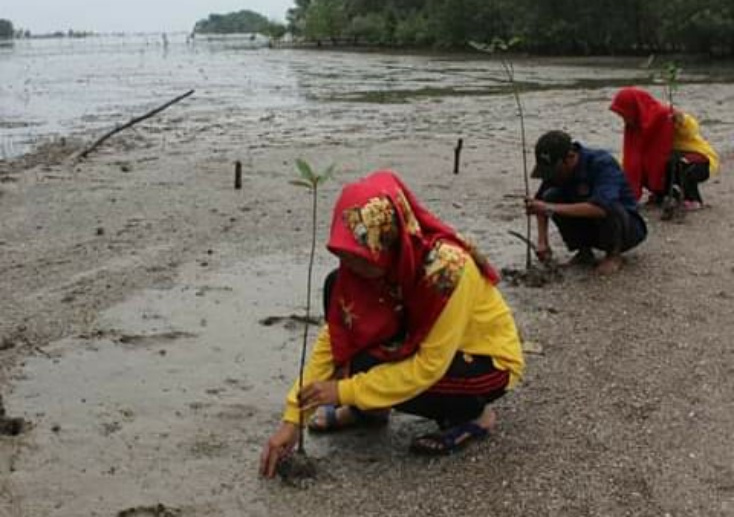 SMK I Kempas, LSM Lingkungan dan PWI Tanam Bibit Bakau