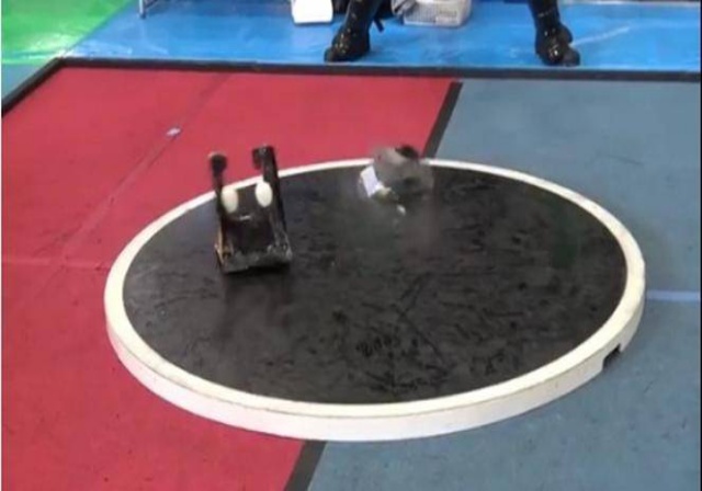 Sumo Robot yang Tak Kalah Seru Dengan Sumo Asli Manusia