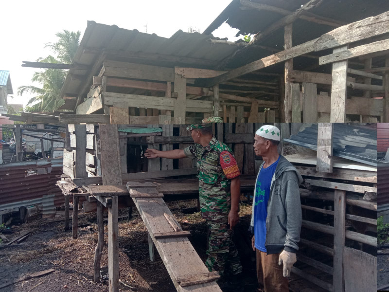 Babinsa Koramil-01/Dumai Sosialisasikan Pencegahan Penyakit Mulut dan Kuku di Peternakan Pangkalan Sesai