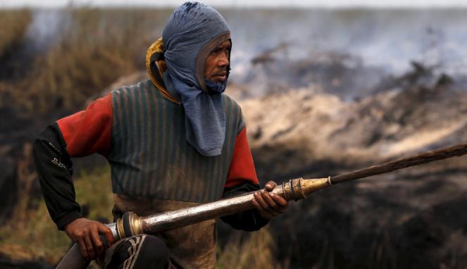Untuk Pembakar Hutan MUI Terbitkan Fatwa Haram