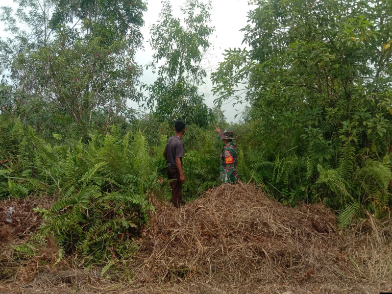 Pencegahan Karhutla Oleh Serda Priyo Sudarmo