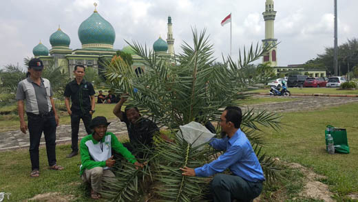 Riau Tuan Rumah Seminar Kurma Internasional 