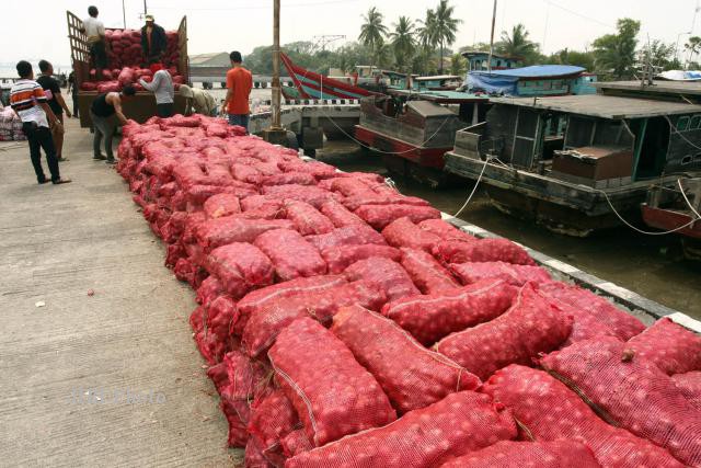 Kini, Bawang Merah Ilegal Masuk ke Dumai Bermodus Ditutupi Nanas