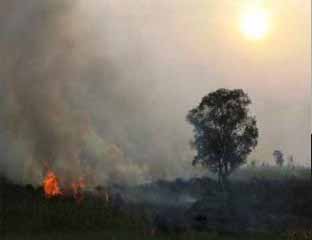 17 Hotspot Terpantau di Riau Hari Ini