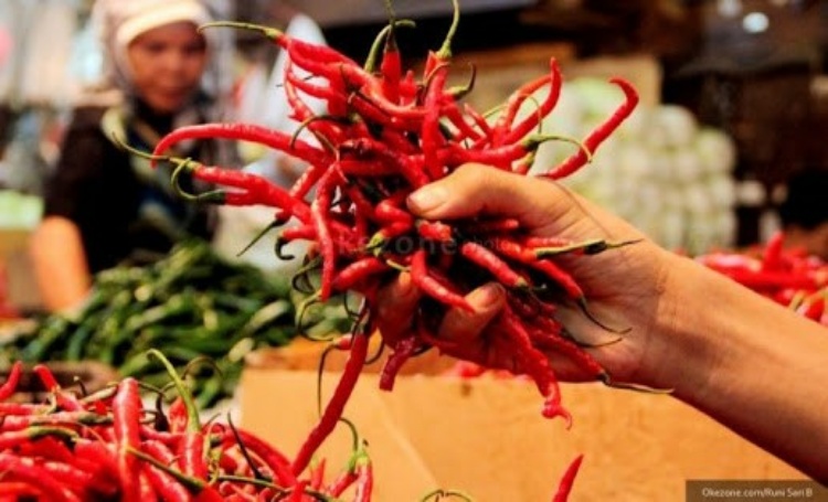 Jelang Pergantian Tahun, Harga Cabai di Pasar Tradisional Pekanbaru Rp52 Per Kilogram