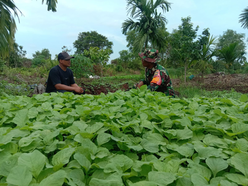 Serda Priyo Berikan Edukasi Kepada Petani