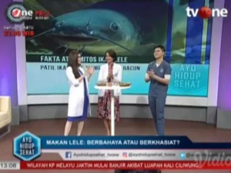 Ikan Lele Baik untuk Perkembangan Otak Anak
