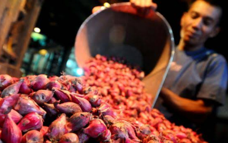 Harga Bawang Merah di Inhil Melonjak Jelang Tahun Baru 2020