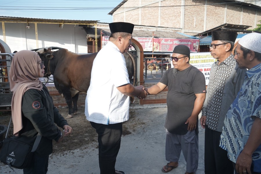 Bupati Asahan Serahkan Hewan Kurban Presiden Prabowo Subianto ke Masjid Raya Kisaran