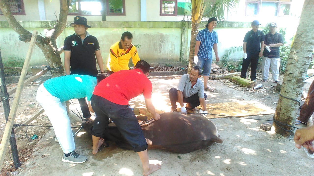 Kemenag Batam Bagikan 500 Kantong Daging Qurban 