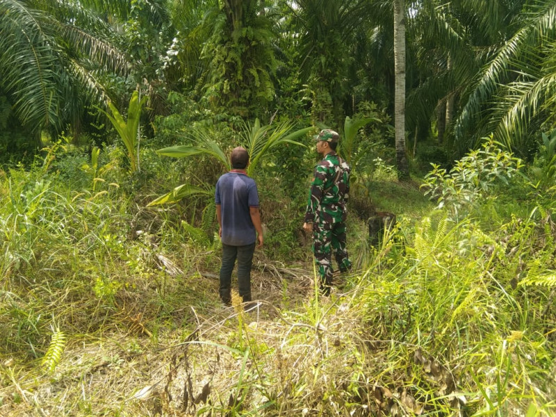 Babinsa Koptu Erwan Sosialisakan Bahaya Karhutla dan Cara Mencegahnya