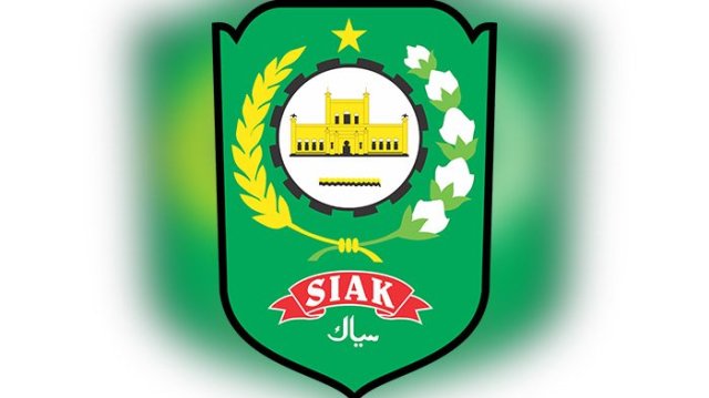 Terapkan Aplikasi Android Untuk Pelayanan Masyarakat, Desa Di Siak Ini Jadi yang Terbaik