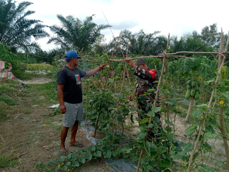 Meningkatkan Hasil Kebun Masyarakat, Serka Suandi Laksanakan Pendampingan