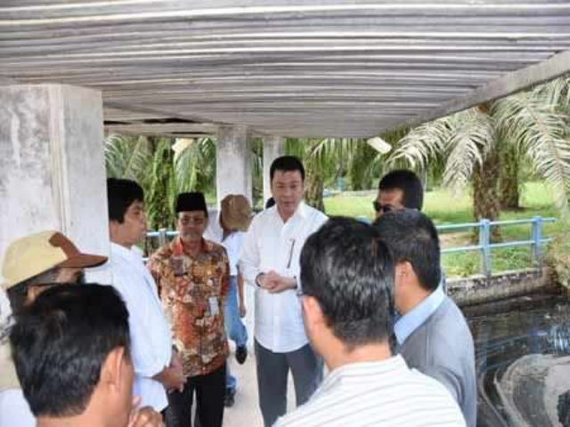 BRG Terkesan Tata Kelola Air Gambut Perkebunan PT MAS