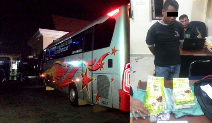 Polres Dumai Ringkus Penumpang Bus Bintang Utara Bawa Sabu 2 Kilogram