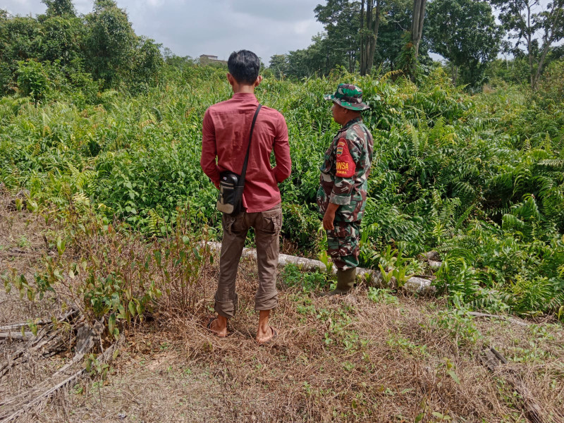 Giat Peninjauan Lahan Oleh Sertu Mahyudin