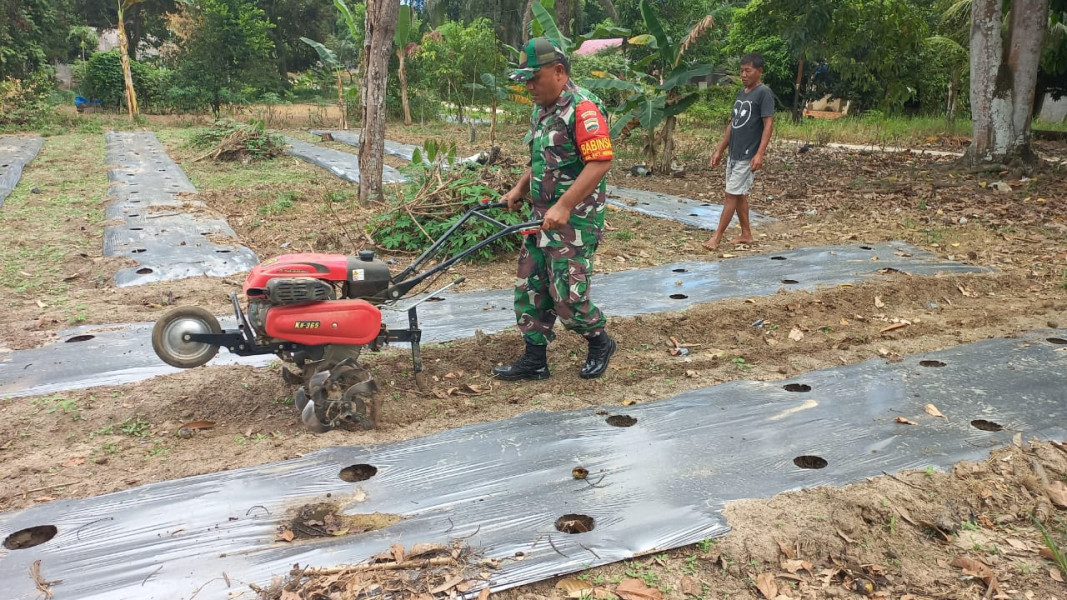 Serda Roni Sandra Melaksanakan Pendampingan Kepada Petani Terong