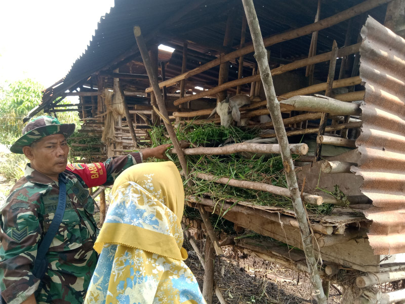 Babinsa Kelurahan Mekarsari Kecamatan Dumai Selatan Sosialisasikan Upaya Pencegahan Penyakit Ternak