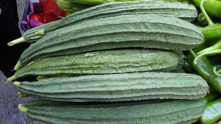 Cara Mengobati Asam Urat dengan Sayur Oyong