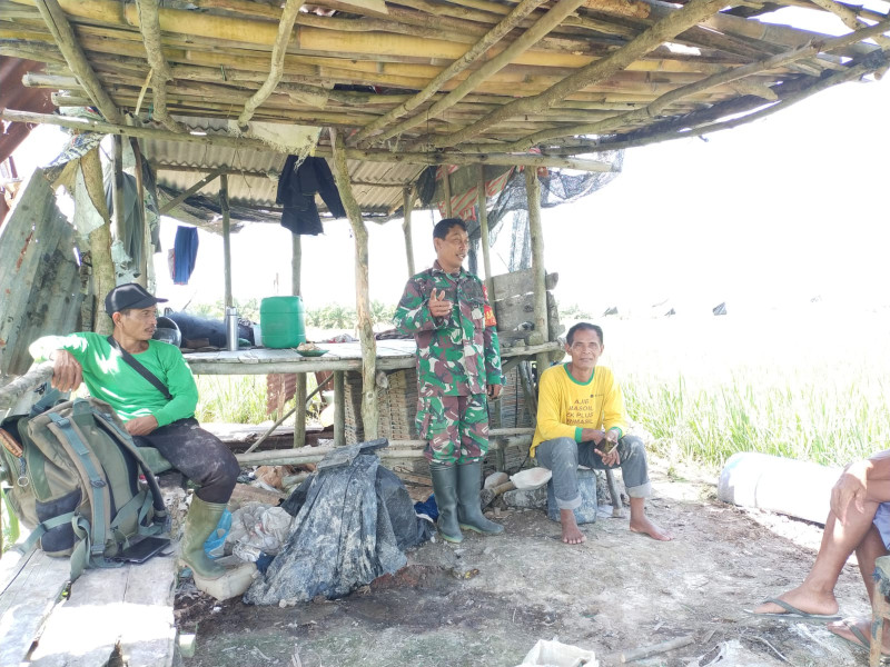 Edukasi Serka Khorianto Kepada Petani Padi