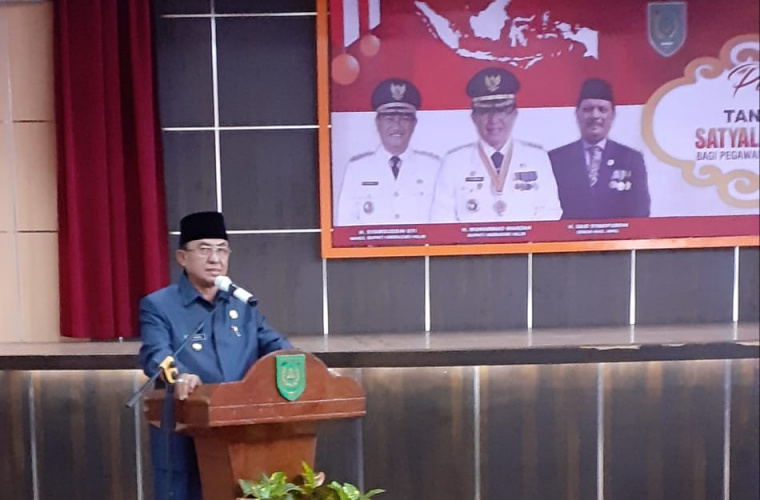 Bupati Sematkan Anugerah Satyalancana Karya Satya Bagi PNS Pemkab Inhil