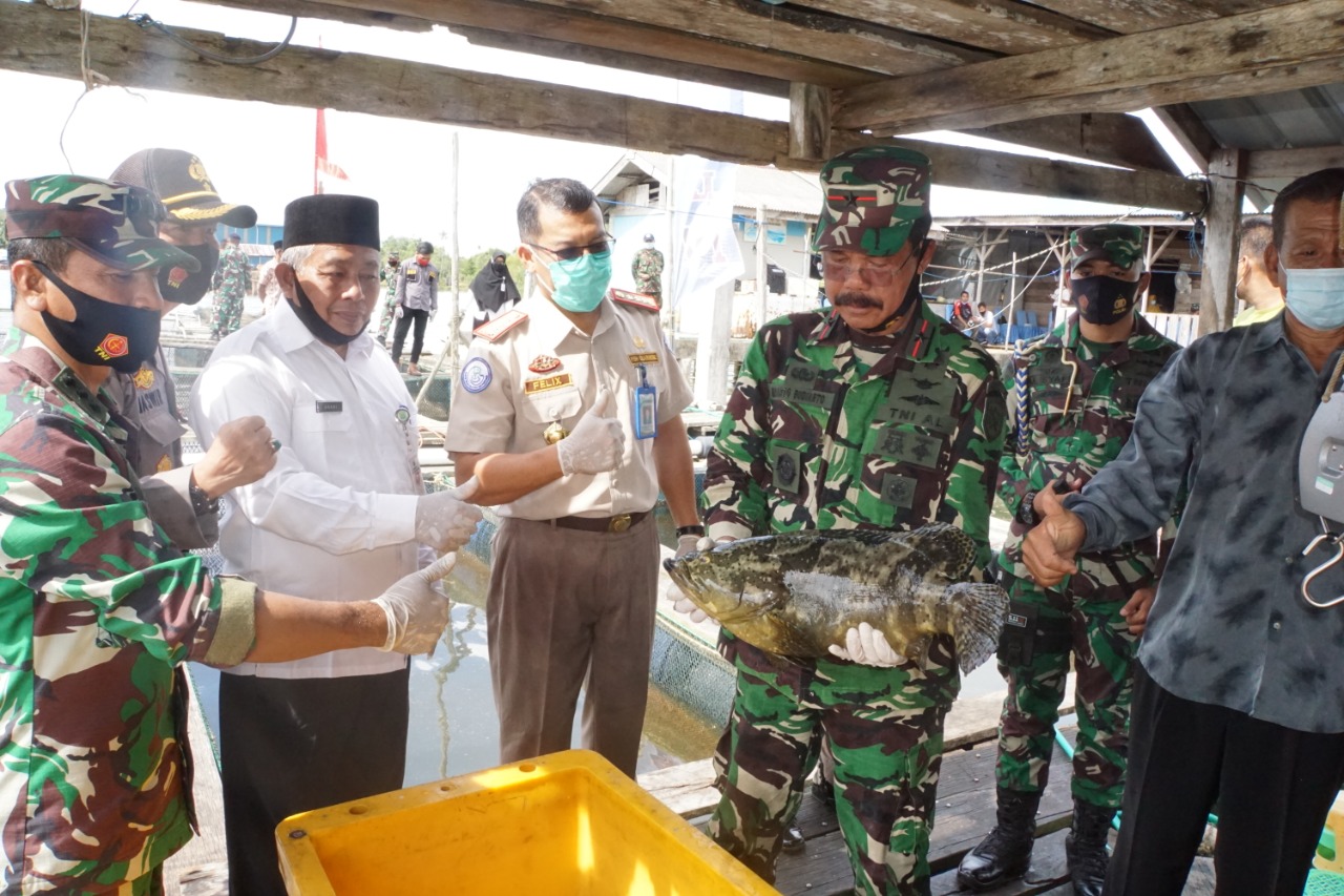Lantamal IV Tanjungpinang Gelar Panen Raya Ikan Kerapu