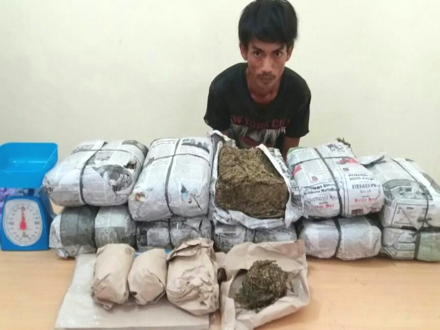 10 Kg Lebih Ganja Kering dan 74, 27 Gram Sabu Berhasil Dicegah Beredar di Pelalawan