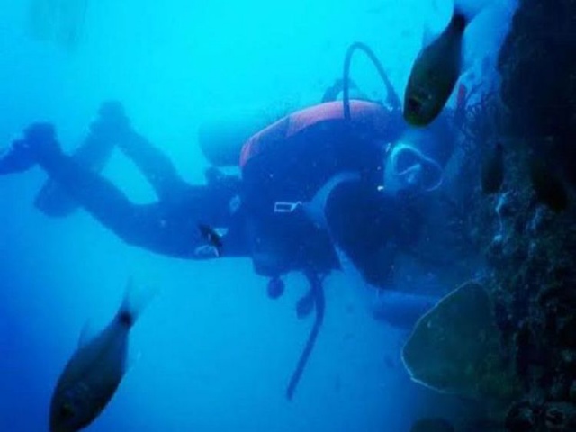 Perlu Dukungan Banyak Pihak Atasi Rusaknya Terumbu Karang di Raja Ampat